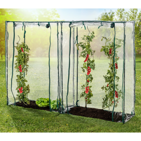 GreenYard 2er – Set Tomatengewächshäuser, ca.150 x 100 x 50 cm