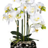 Kunstpflanze Orchidee weiß Kunststoff H: ca. 55 cm