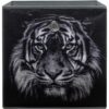 Motivbox Wildlife anthrazit B/H/T: ca. 32x32x32 cm