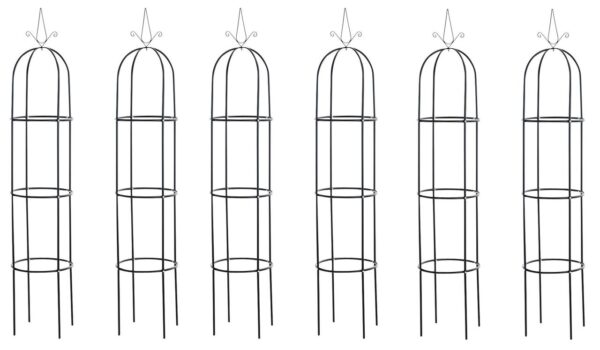 CLP 6er Set Rosensäule Romantika, schwarz