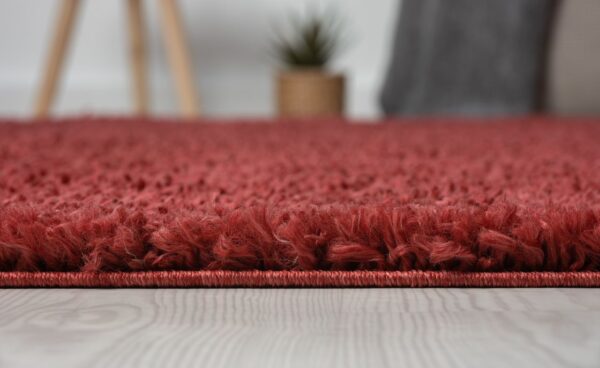4251792200314-6 MyFlair Teppich Elodie, 160cm x 230cm, farbe Weinrot, rechteckig, florhöhe 37mm