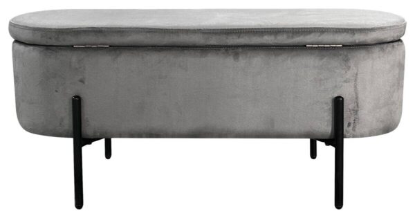 Truhe NOVA grau B/H/T: ca. 95x42x37,5 cm