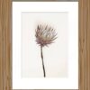 Bilderrahmen natur Holz B/L: ca. 18x24 cm