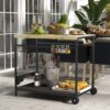 4255633560834-2 Outsunny Servierwagen Barbecue Trolley Gartenrollwagen mit 2 Ebenen Natur