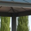 Canopia by Palram Palram Aluminium Pavillon Dallas 4300