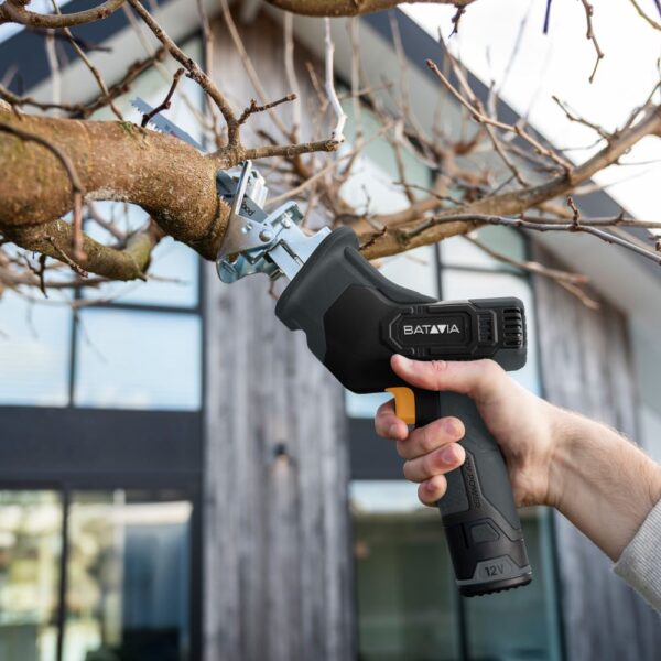 Batavia 12V Säbelsäge 2.0 SET mit 1 x 2ah Akku und 1 x USB – C Ladekabel