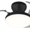 GLOBO LED-Deckenventilator schwarz Rauch transparent H/D: ca. 15,5x38 cm max. 15 W