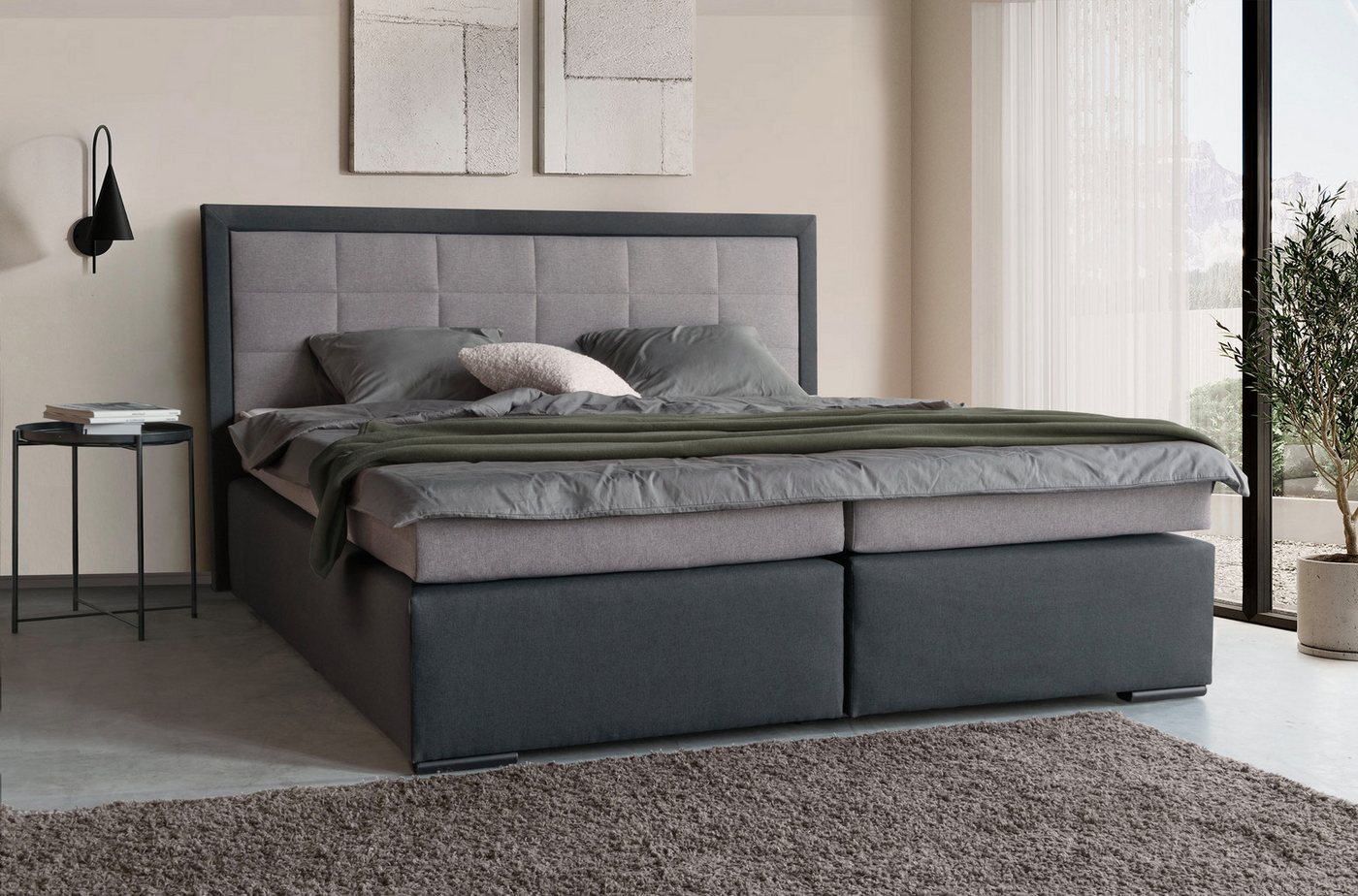 COLLECTION AB Boxspringbett 30 Jahre Jubiläums-Modell Athena, in H2,H3 & H4, wahlweise mit LED-Leiste