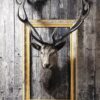 Bönninghoff Keilrahmenbild Büffel B/H/L: ca. 46x2x61 cm Bönninghoff Keilrahmenbild Büffel B/H/L: ca. 46x2x61 cm – Bild 5
