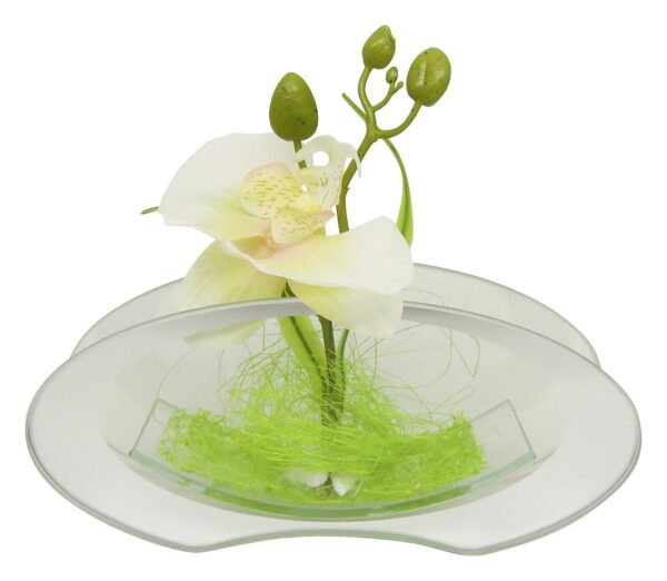 POCOline Vase klar Glas B/H/L: ca. 4,5x9,5x20 cm – Bild 2