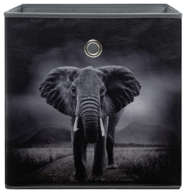 Motivbox Wildlife anthrazit B/H/T: ca. 32x32x32 cm – Bild 3