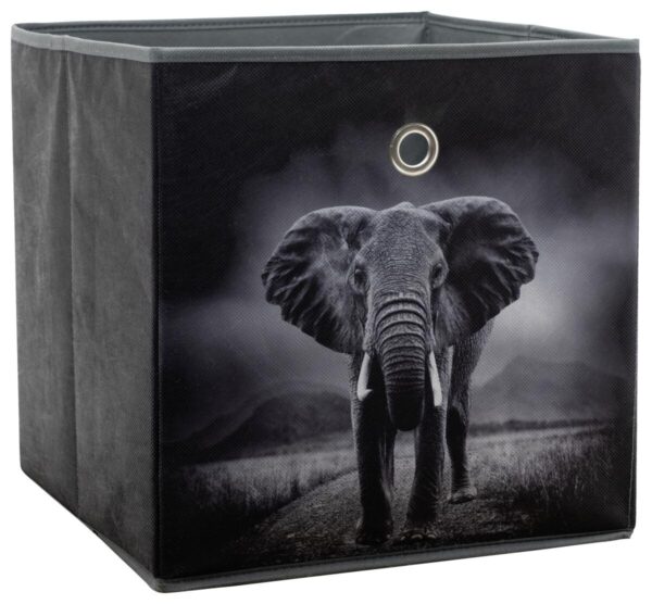 Motivbox Wildlife anthrazit B/H/T: ca. 32x32x32 cm – Bild 4