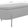 Truhe NOVA grau B/H/T: ca. 95x42x37,5 cm – Bild 3