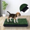 PawHut Welpentoilette grün Kunststoff B/H/L: ca. 63x6x51 cm – Bild 5