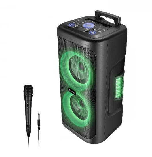Denver Trolley Speaker TSP-353 schwarz B/H/T: ca. 30x62x28 cm – Bild 2