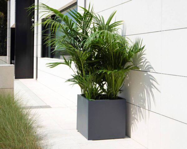 Herstera Garden Pflanzkasten anthrazit Stahl B/H/L: ca. 50x50x50 cm – Bild 5