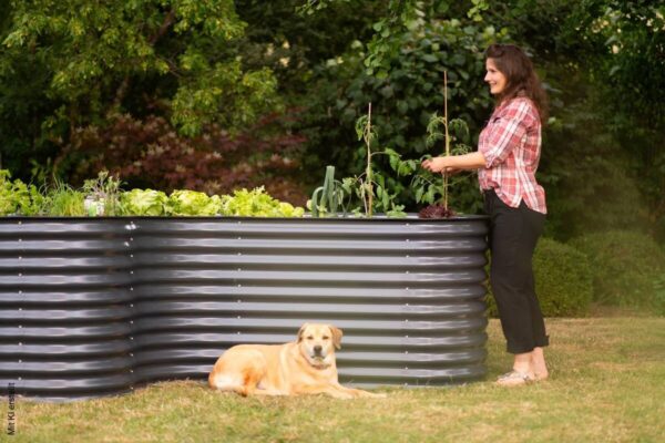 Westmann Hochbeet Grow Faster anthrazit Stahl B/H/L: ca. 160x82x240 cm – Bild 3
