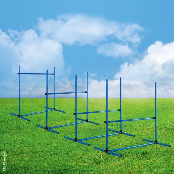 HI Agility Hürdenset blau Kunststoff B/H/L: ca. 65x95x95 cm – Bild 2
