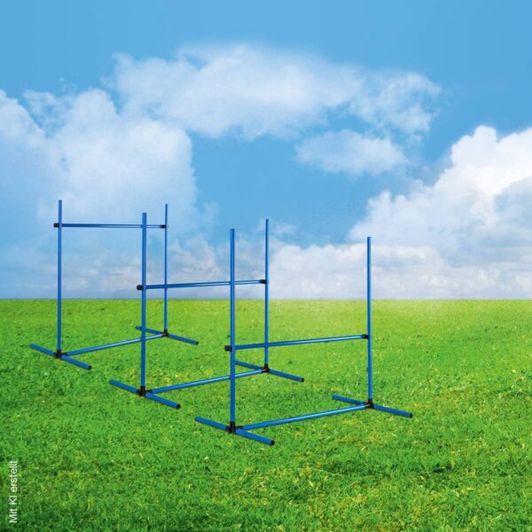 HI Agility Hürdenset blau Kunststoff B/H/L: ca. 65x95x95 cm – Bild 3