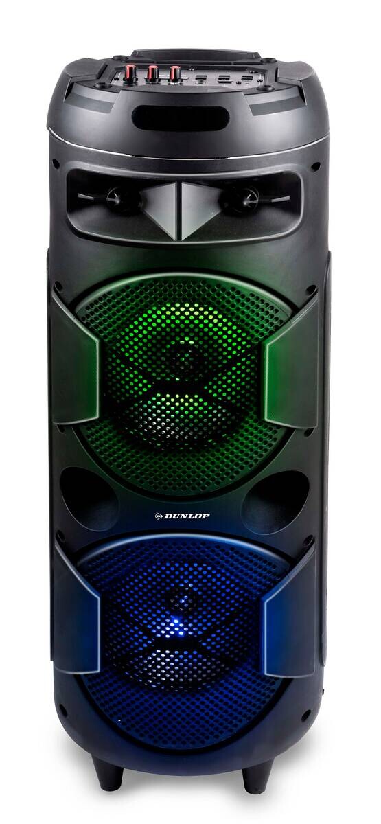 Dunlop Lautsprecher MW-538 H/D: ca. 80x28 cm – Bild 3