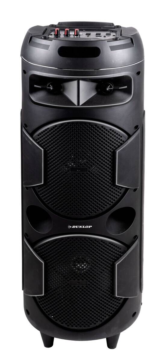 Dunlop Lautsprecher MW-538 H/D: ca. 80x28 cm – Bild 4