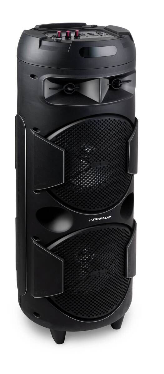 Dunlop Lautsprecher MW-538 H/D: ca. 80x28 cm – Bild 5