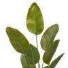 Kunstpflanze Bananenbaum grün Kunststoff B/H/L: ca. 50x140x40 cm – Bild 2