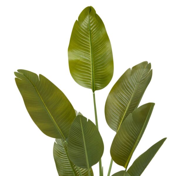 Kunstpflanze Bananenbaum grün Kunststoff B/H/L: ca. 50x140x40 cm – Bild 2