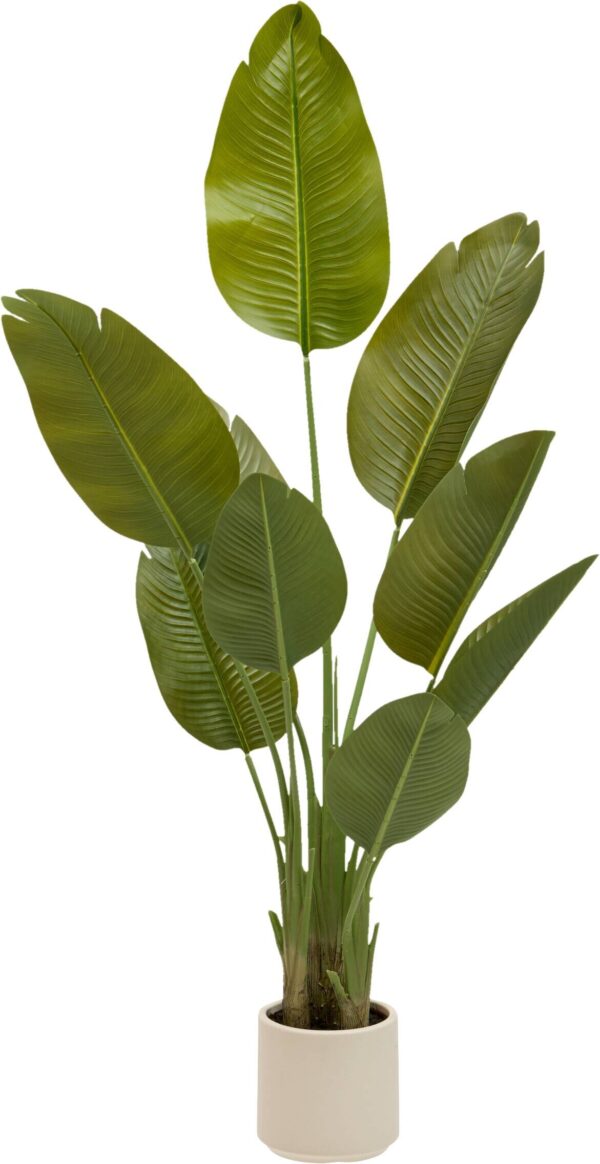 Kunstpflanze Bananenbaum grün Kunststoff B/H/L: ca. 50x140x40 cm – Bild 3