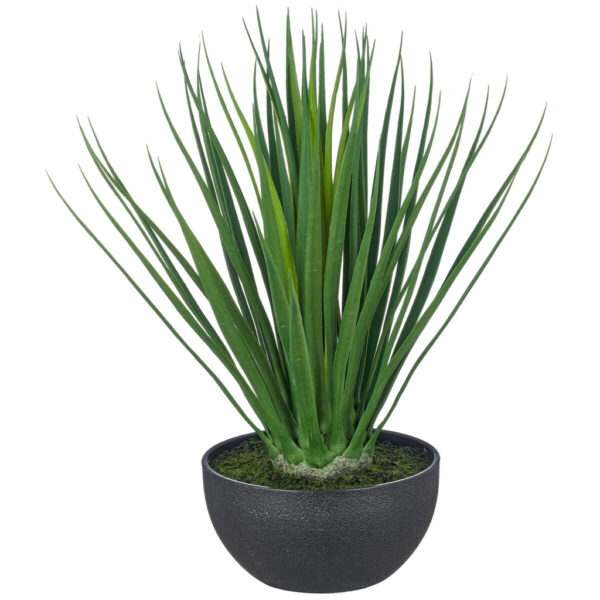 Kunstpflanze Yucca-Gloriosa schwarz Kunststoff H: ca. 48 cm Kunstpflanze Yucca-Gloriosa schwarz Kunststoff H: ca. 48 cm