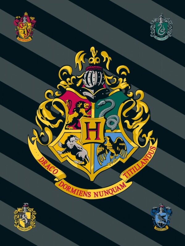 COFI 1453 Harry Potter Kuscheldecke aus Fleece 100x150 cm