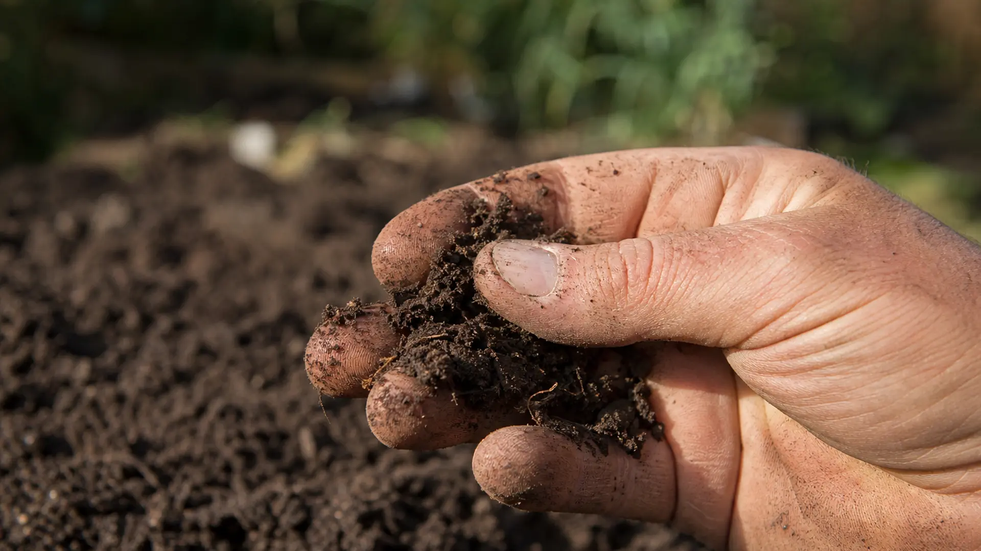 Hand zerreibt feuchte Gartenerde zwischen den Fingern, die Krümelstruktur ist deutlich erkennbar