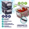 Aufbewahrungsbox 20x15x12cm 2L transparent stapelbar BPA-frei – Bild 4
