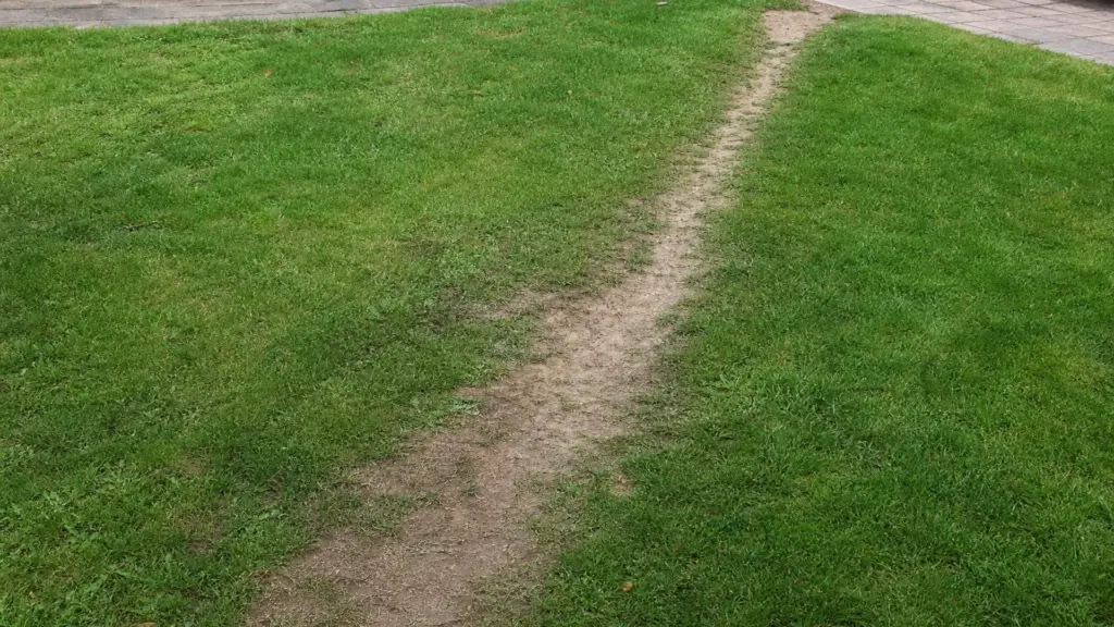 Sichtbarer Trampelpfad im Rasen zeigt, wo tatsächlich gegangen wird, daneben der angelegte Weg