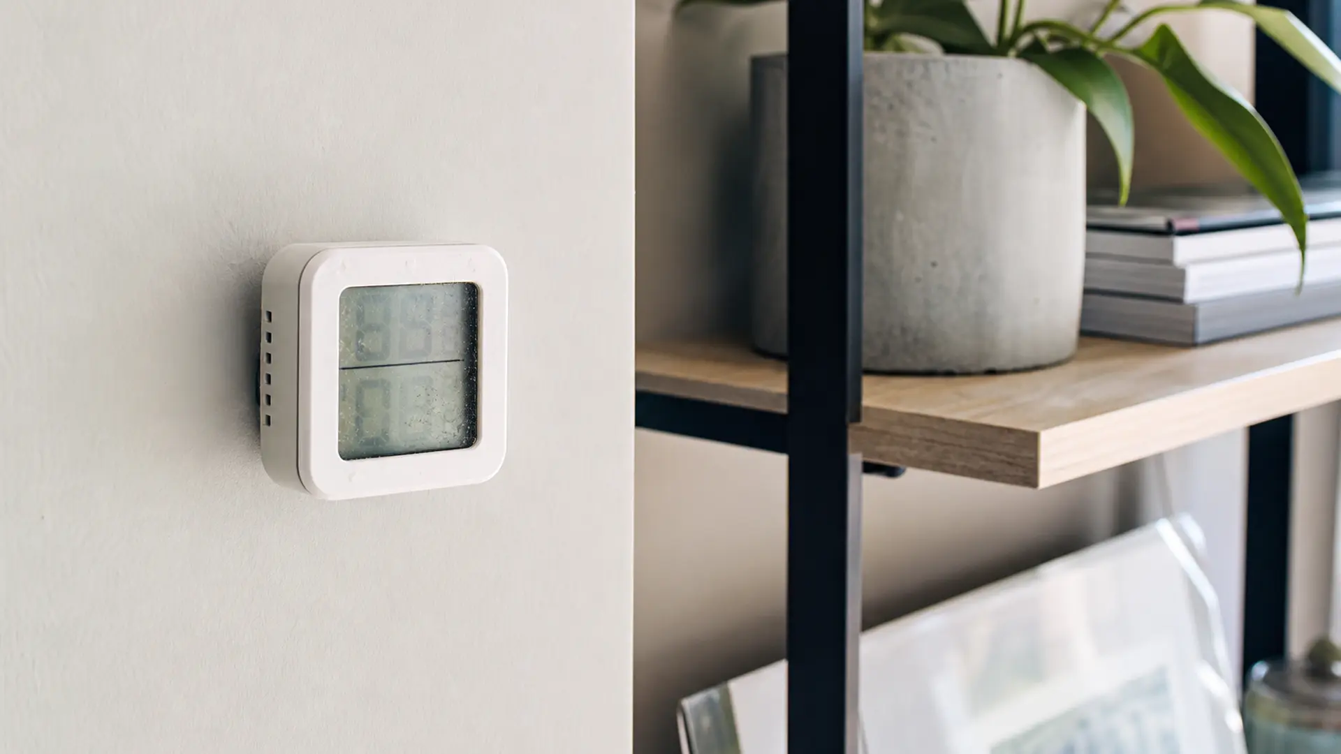 Digitales Thermo-Hygrometer an einer Zimmerwand neben einem Regal