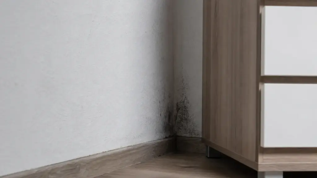Zimmerecke an einer Außenwand mit beginnender dunkler Verfärbung hinter einem Schrank