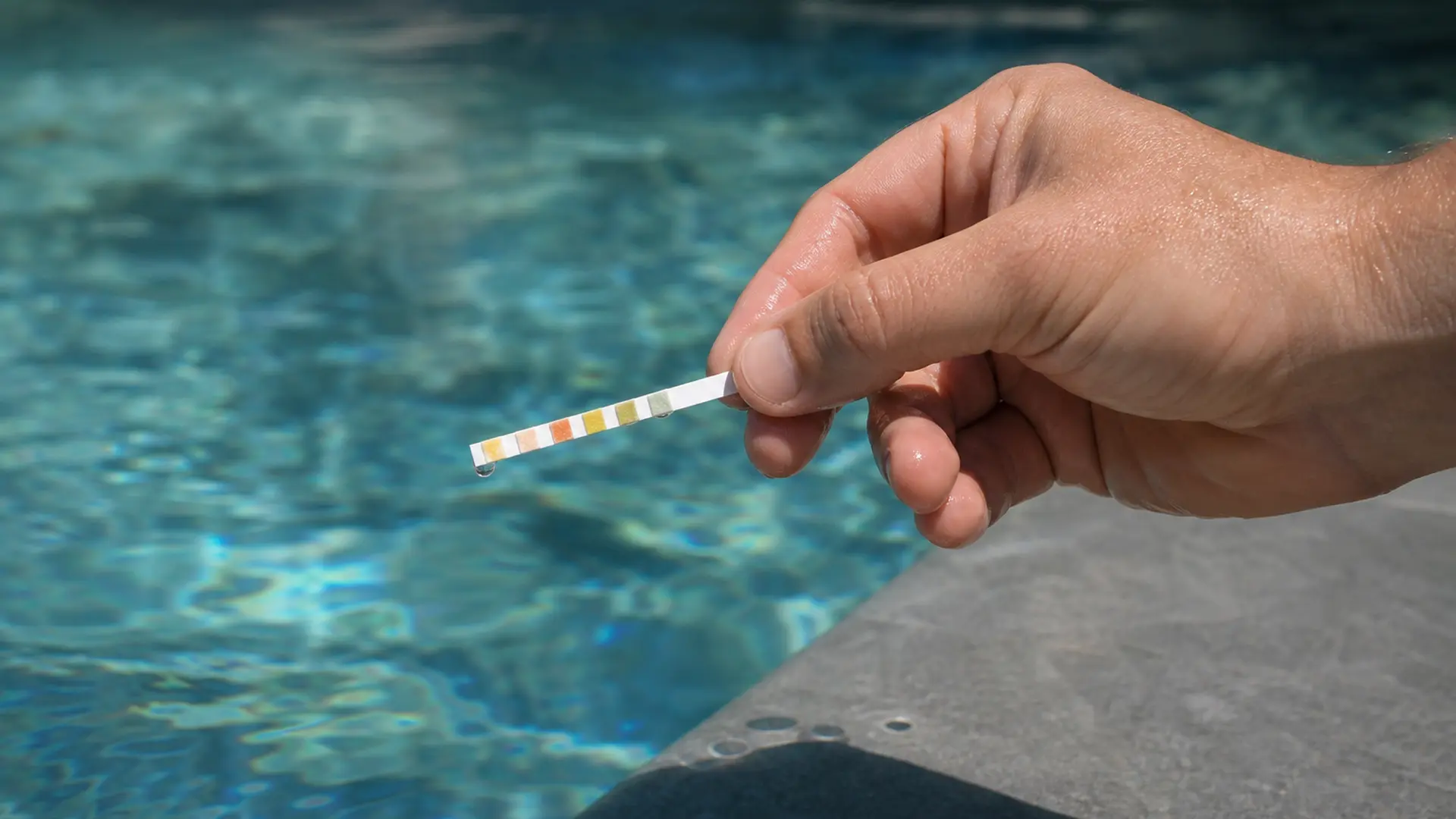 Teststreifen wird aus einer Wasserprobe gezogen, im Hintergrund der Poolrand
