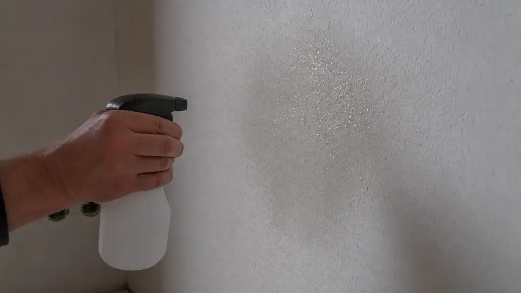 Wassertest an der Wand: aufgesprühte Tropfen zeigen die Saugfähigkeit des Untergrunds