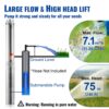 VEVOR Tiefbrunnen-Tauchpumpe, 750 W, 230 V, 60 Hz, 7,1 m³/h max. Durchfluss, 75 m max. Förderhöhe, mit 9,1 m Stromkabel, Edelstahl-Wasserpumpe für Industrie, Bewässerung und Heimgebrauch, IP68-Wasserschutzklasse – Bild 3 VEVOR Tiefbrunnen-Tauchpumpe, 750 W, 230 V, 60 Hz, 7,1 m³/h max. Durchfluss, 75 m max. Förderhöhe, mit 9,1 m Stromkabel, Edelstahl-Wasserpumpe für Industrie, Bewässerung und Heimgebrauch, IP68-Wasserschutzklasse – Bild 3