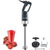 VEVOR Pürriermixer Elektrische Stabmixer 750 W, Hochleistungs-Pürierstab Einstellbare Drehzahlen, Edelstahl Mehrzweck Stabmixer 755 mm Abnehmbarer Rührstab, inkl. Wandhaken & Ersatzklingenkopf