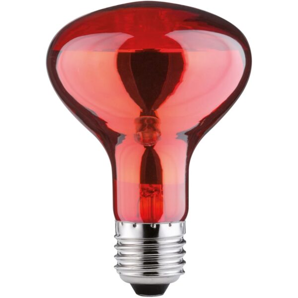 Paulmann Leuchtstofflampe E27 Reflektor R80 60 W 26,m 11,5 x 8 cm (H x Ø)