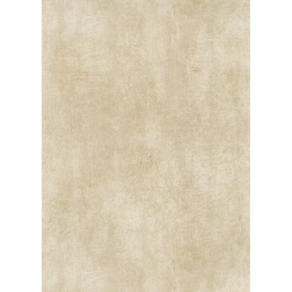 Erismann Vliestapete Elle Decoration 4 Shiny Concrete Beige