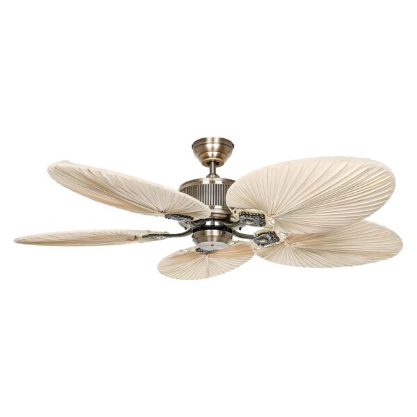 CASAFAN Energiespar Deckenventilator mit Fernbedienung Caribbean Dream Eco II Messing - Palme CASAFAN Energiespar Deckenventilator mit Fernbedienung Caribbean Dream Eco II Messing - Palme