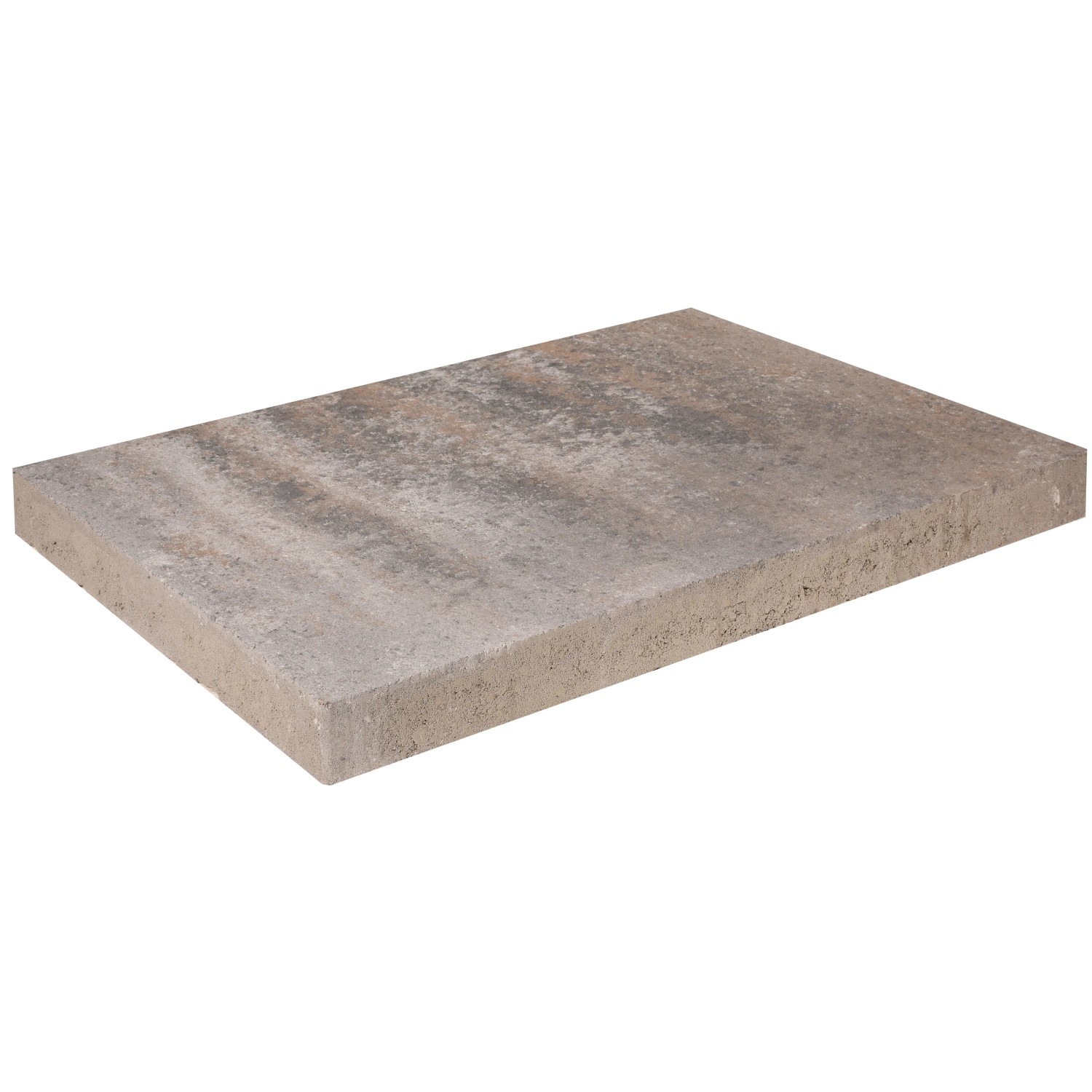 EHL Platte Artano 40 cm x 20 cm x 4 cm Muschelkalk