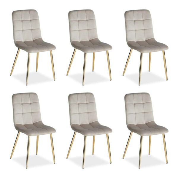 Homestyle4u Esszimmerstuhl 6er Set in Beige und Gold Samt 2335