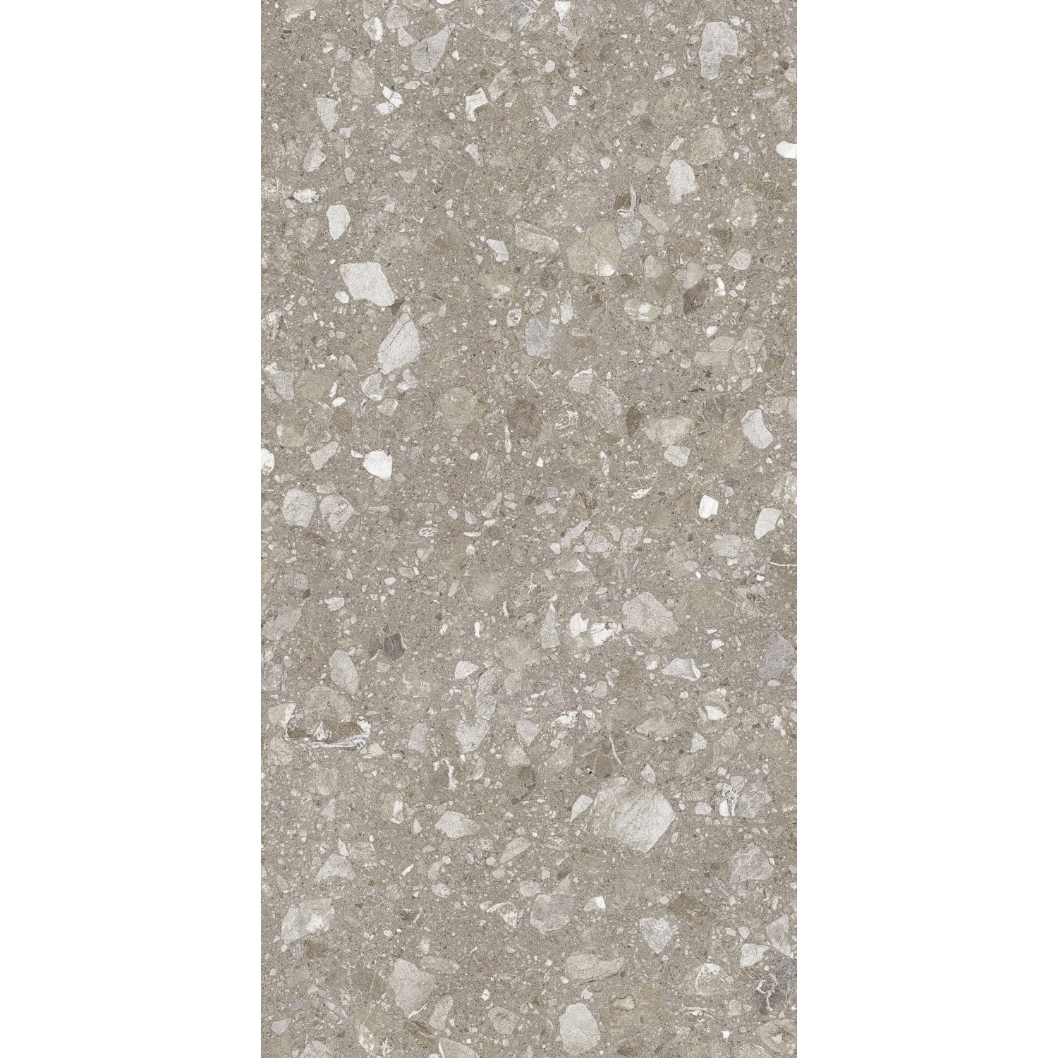 Bodenfliese Feinsteinzeug Terra greige Taupe Glasiert Matt 60 cm x 120 cm