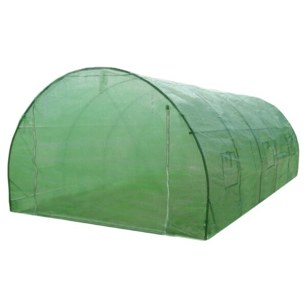 Monstershop Polytunnel 25mm 6m x 3m mit Regale
