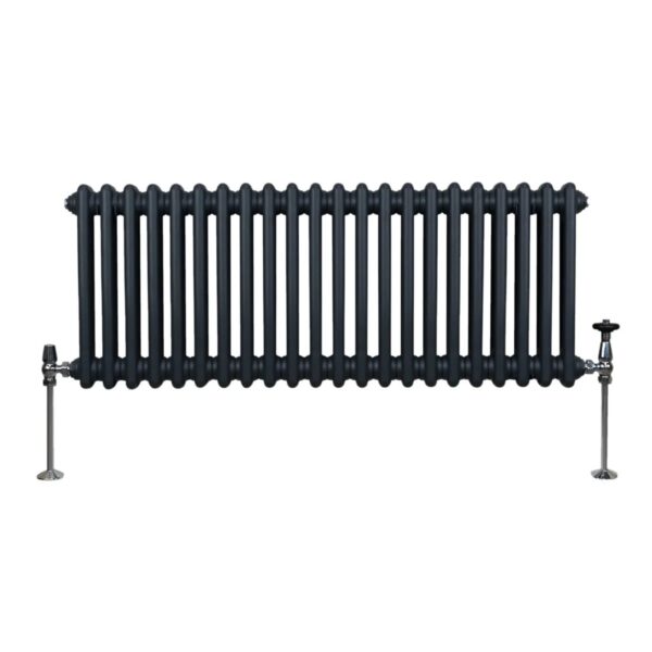 Monstershop Traditioneller 2 Spalten Heizkörper 300 x 1012 mm Anthrazitgrau