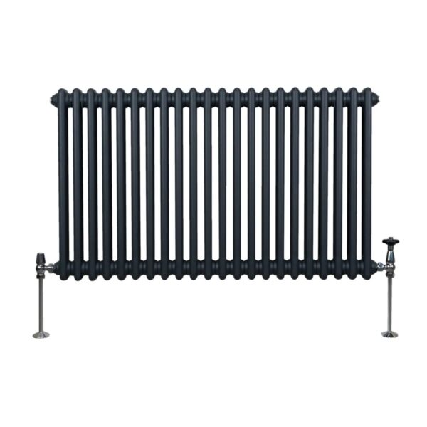 Monstershop Traditioneller 2 Spalten Heizkörper 600 x 1012 mm Anthrazitgrau Monstershop Traditioneller 2 Spalten Heizkörper 600 x 1012 mm Anthrazitgrau