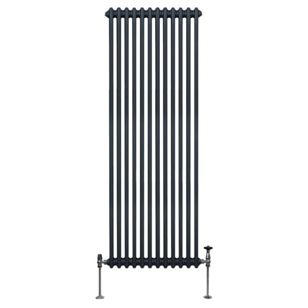 Monstershop Traditioneller 2 Spalten Heizkörper 1800 x 562 mm Anthrazitgrau Monstershop Traditioneller 2 Spalten Heizkörper 1800 x 562 mm Anthrazitgrau